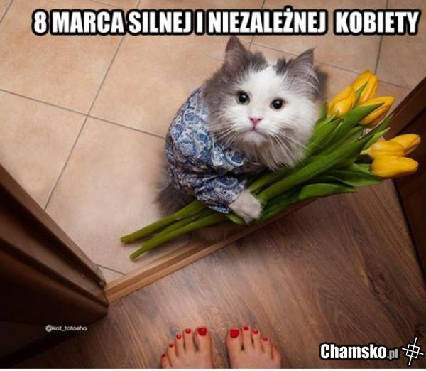 Dzień silnej i niezależnej kobiety
