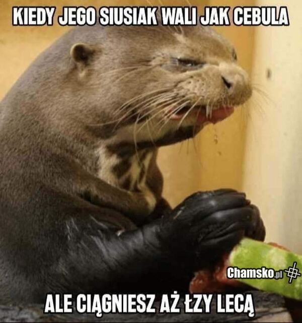 Prezent na 10 marca