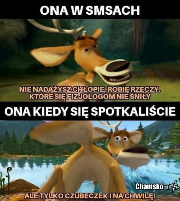 SMS vs real