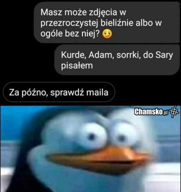 Sexi zdjęcie