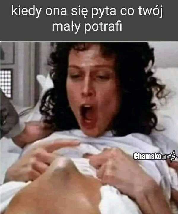 Mały ale wariat