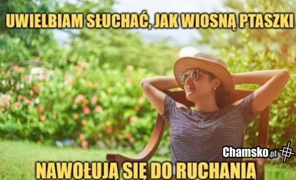 Ptaszki