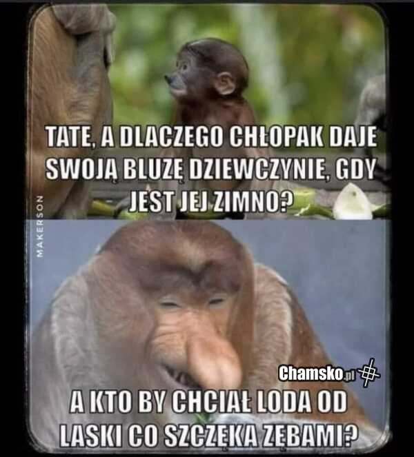 Pożyczenie bluzy
