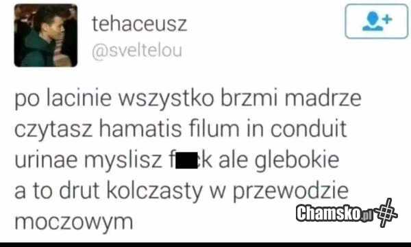 Łacina
