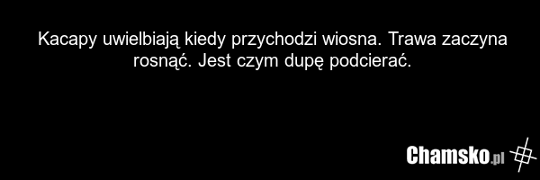 Kacapy uwielbiają kiedy przychodzi wiosna. Trawa zaczyna rosnąć. Jest czym dupę podcierać.