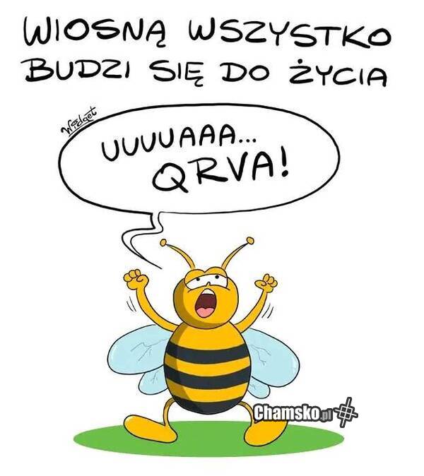 Wiosna