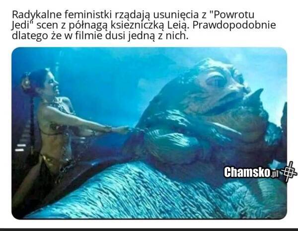 Księżniczka Leja