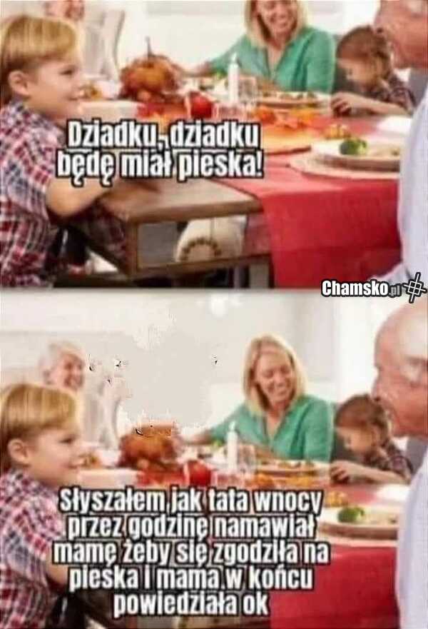 Piesek