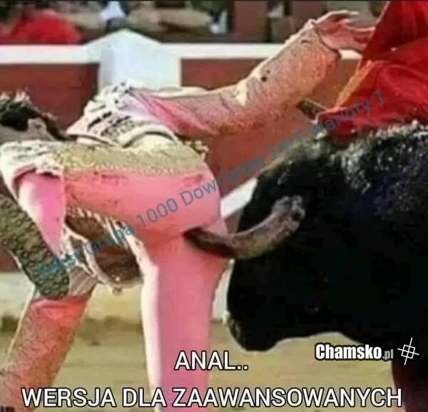 Wersja dla zaawansowanych