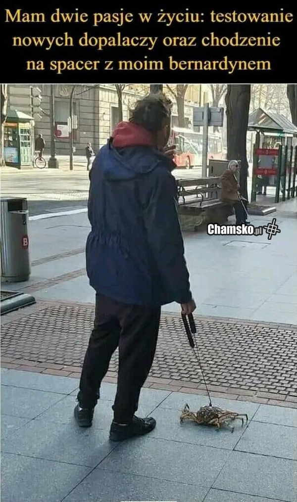Dwie pasje