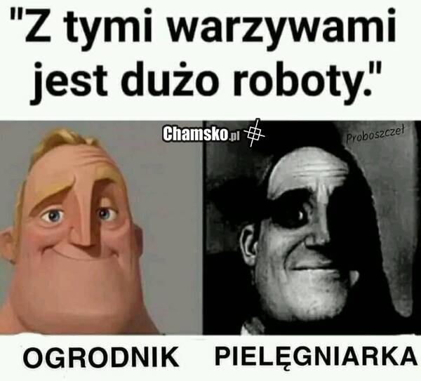 Warzywa
