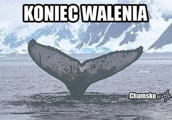Koniec walenia