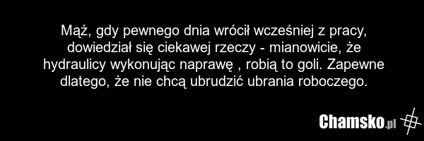 Mąż, gdy pewnego dnia wrócił wcześniej z pracy, dowiedział się ciekawej rzeczy - mianowicie, że hydraulicy wykonując naprawę , robią to goli. Zapewne dlatego, że nie chcą ubrudzić ubrania roboczego.