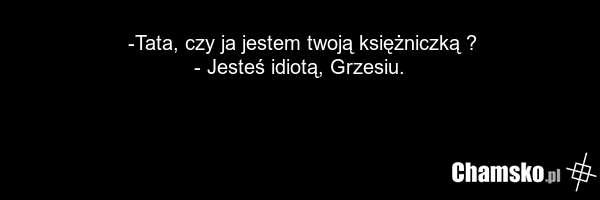 -Tata, czy ja jestem twoją księżniczką ? - Jesteś idiotą, Grzesiu.