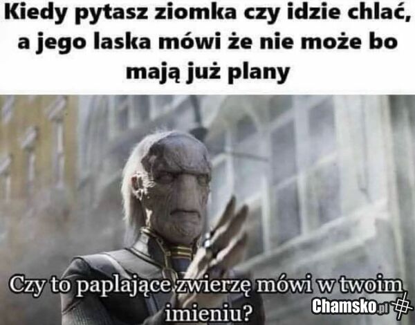 Chlanie
