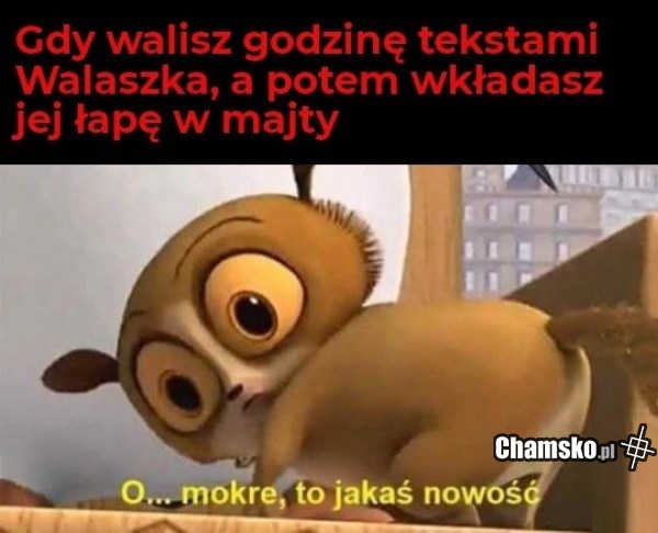 Jakaś nowość
