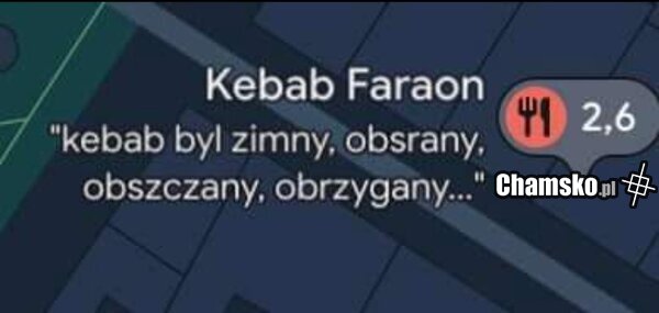 Zachęcająca opinia