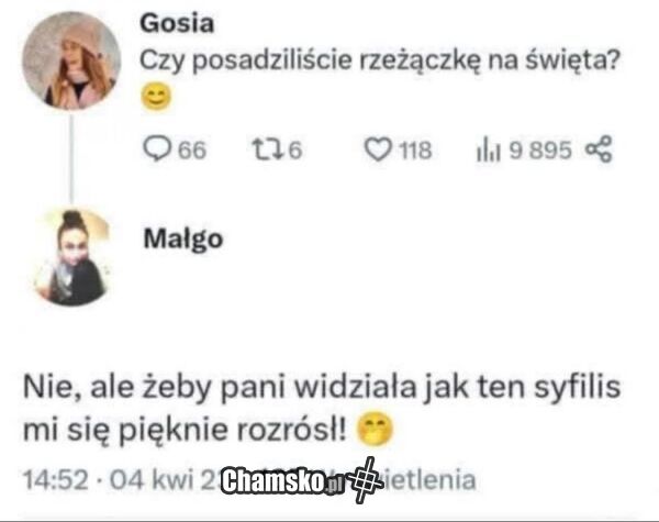 Posadziliście już?