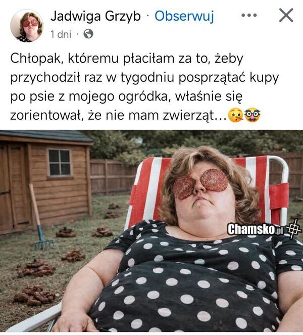 Sprzątanie kup