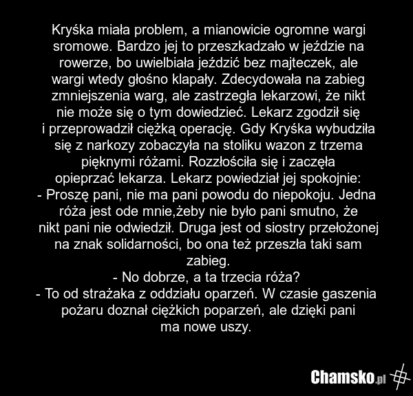Kryśka miała problem, a mianowicie ogromne wargi sromowe. Bardzo jej to przeszkadzało w jeździe na rowerze, bo uwielbiała jeździć bez majteczek, ale wargi wtedy głośno klapały. Zdecydowała na zabieg zmniejszenia warg, ale zastrzegła lekarzowi, że nikt nie może się o tym dowiedzieć. Lekarz zgodził s…