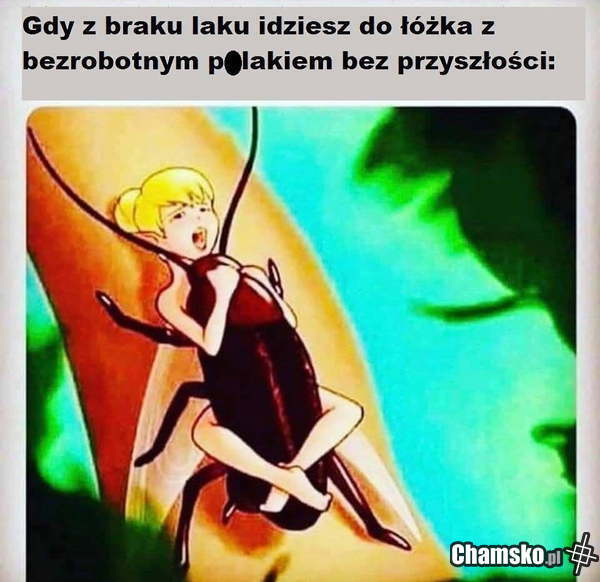 Przypadkowe spotkanie