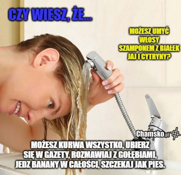 Ciekawostka