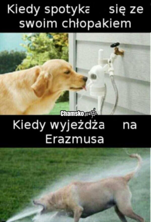 W domu i na wyjeździe