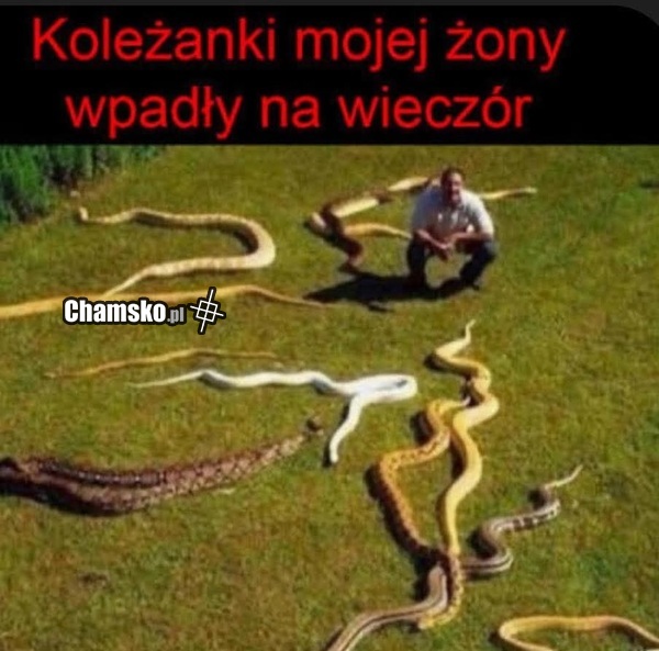 Koleżanki żony