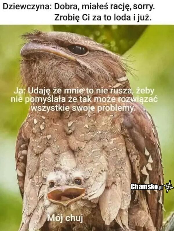 Rozwiązywanie problemu