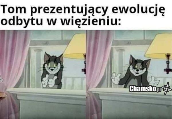 Ewolucja