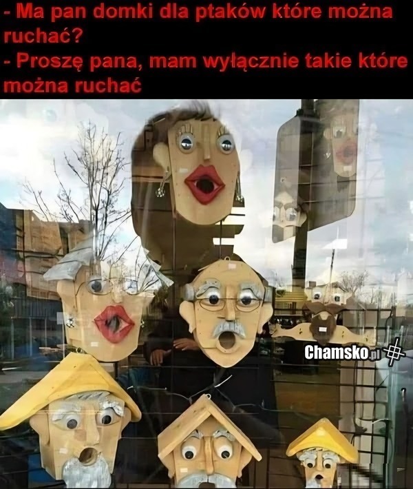 Domki do ptaków