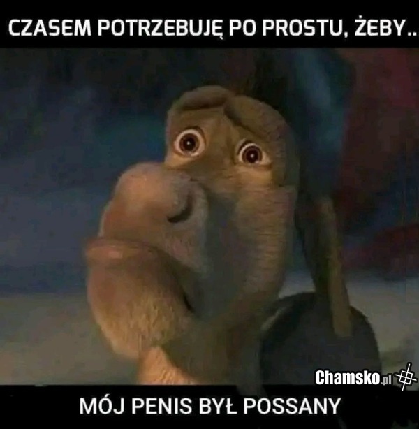 Niewiele potrzeba do szczęścia