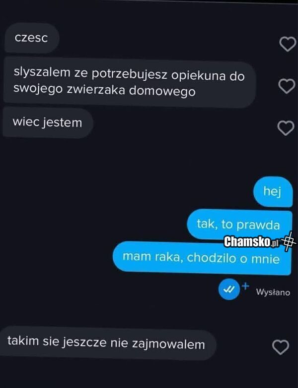 Opieka nad zwierzakiem