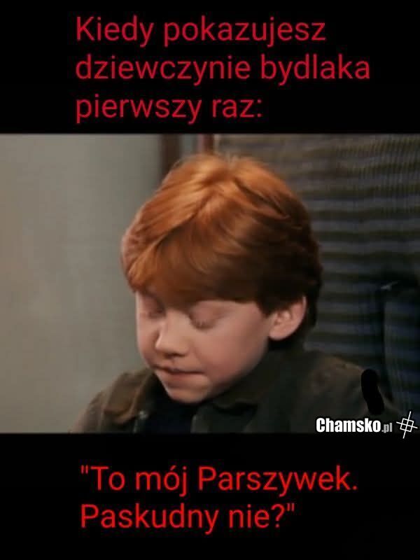 Parszywek