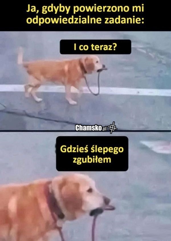 Proste zadanie