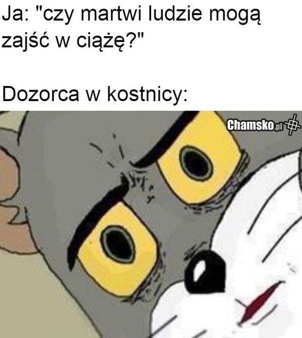 Pytanie