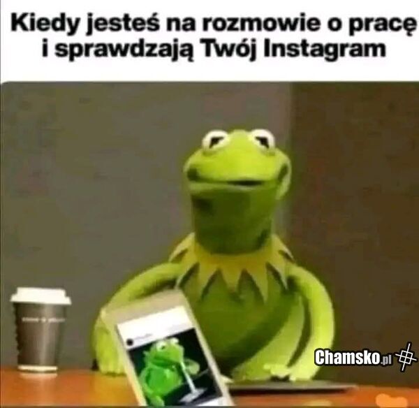 Rozmowa o pracę