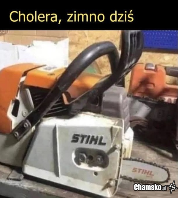 Zimno dziś