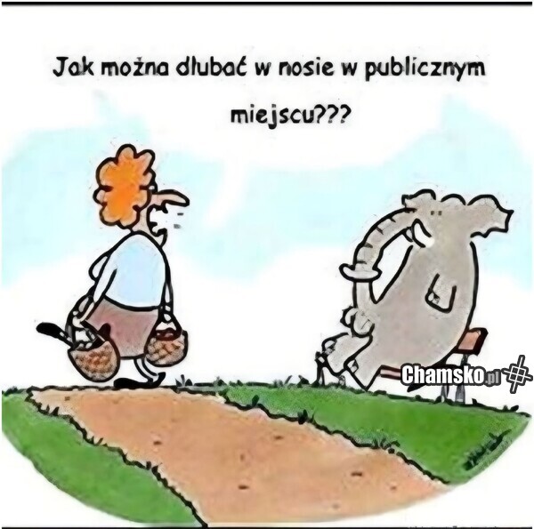 Dłubanie w nosie