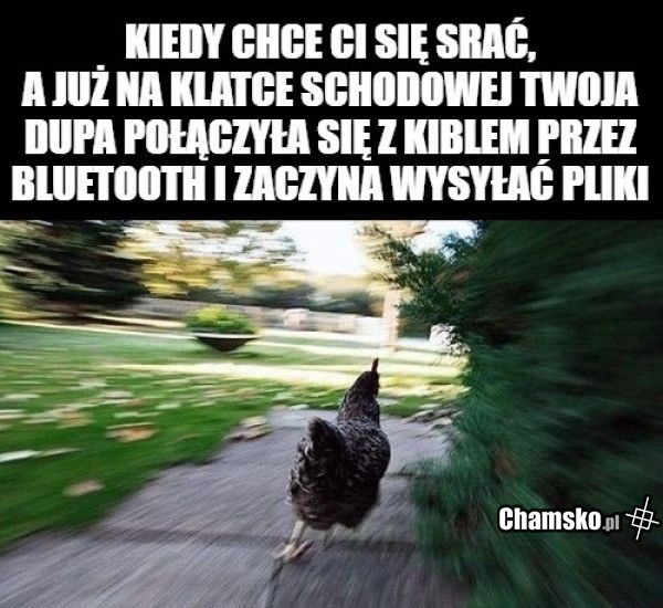 Bezprzewodowy kibel