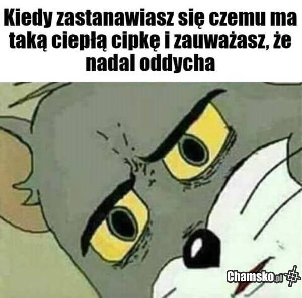 Rozkmina