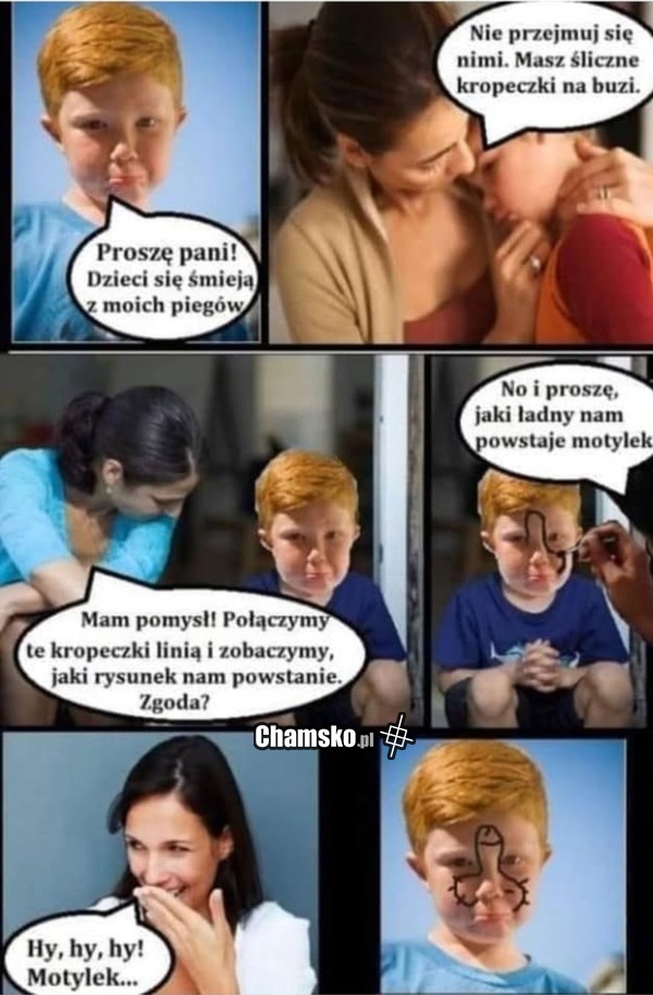 Piegi