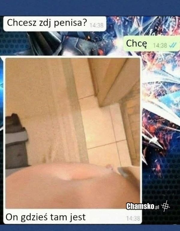 Zdjęcie ptaka