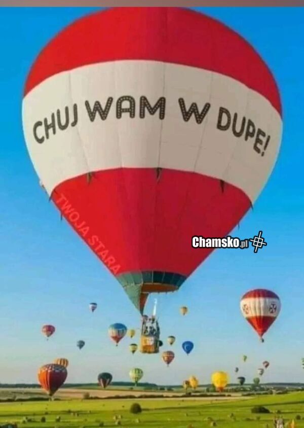 Idealny balon admina chamsko.pl