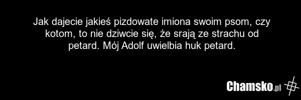 Jak dajecie jakieś pizdowate imiona swoim psom, czy kotom, to nie dziwcie się, że srają ze strachu od petard. Mój Adolf uwielbia huk petard.