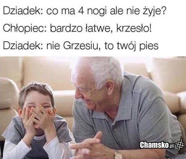 Zagadka