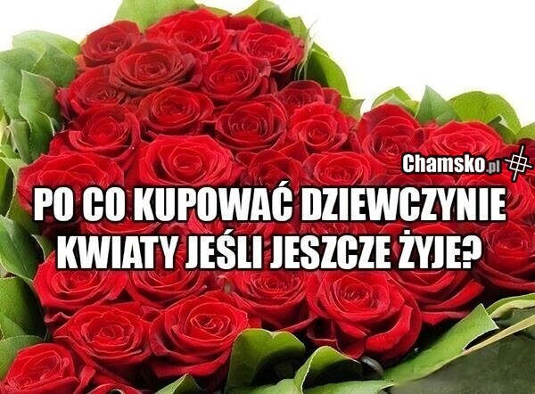 Po co kupować kwiaty?