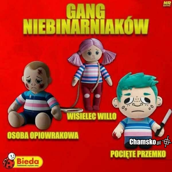 Nowy gang