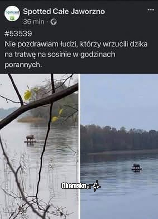 Nie pozdrawiam