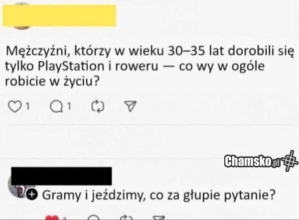 Co robicie w życiu?